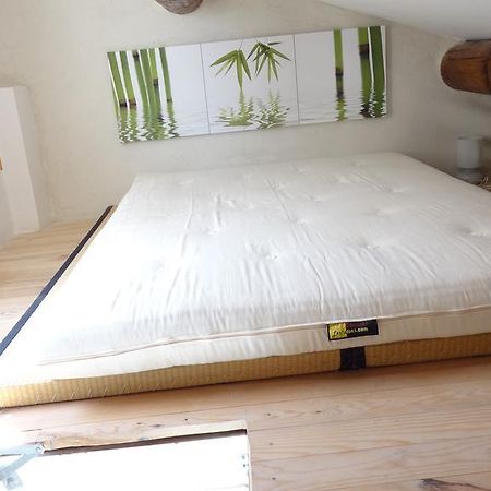 Appartement Avec Terrasse,Mezzanine,Patangarles Pokój zdjęcie